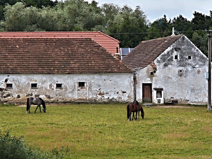 Quels sont les avantages de dormir dans une manade en Camargue par rapport à un hébergement traditionnel ?