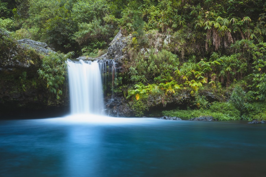 Quels sont les principaux sites touristiques à visiter à Saint Paul la Réunion ?